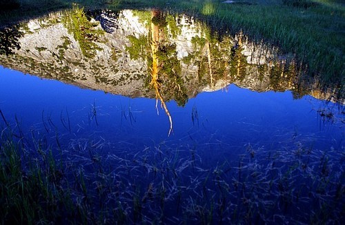 Reflection in Lower Graveyard Lake, Ansel Adams Wilderness.