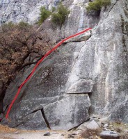 Swan Slab - Oak Tree Flake 5.6 - Yosemite Valley, California USA. Click to Enlarge