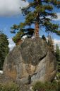 Lake Tahoe Bouldering, California, USA - Old County . Click for details.