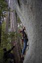 Yosemite Valley Bouldering, CA, USA - The Crystals . Click for details.
