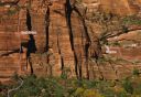 Cathedral Mountain - Voodoo Rooves III 5.10 - Zion National Park, Utah, USA. Click for details.