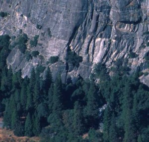 Church Bowl - Church Bowl Tree 5.10b - Yosemite Valley, California USA. Click to Enlarge