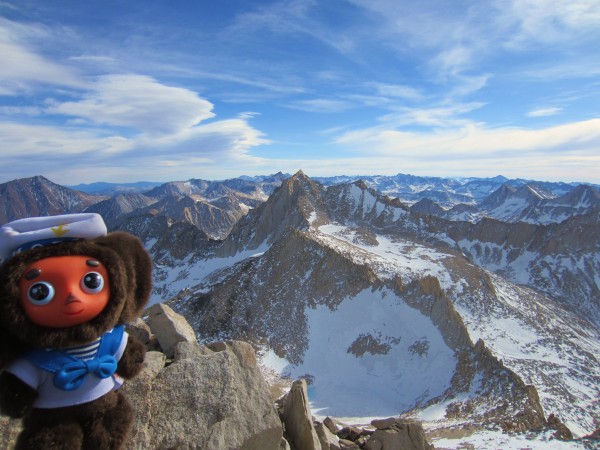 Cheburashka on top of Dade on New Year's Eve (12/31/2011)! He climbed ...