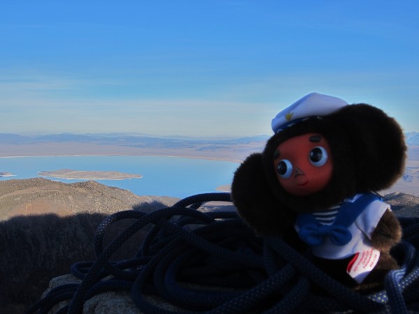 Cheburashka enjoying the views