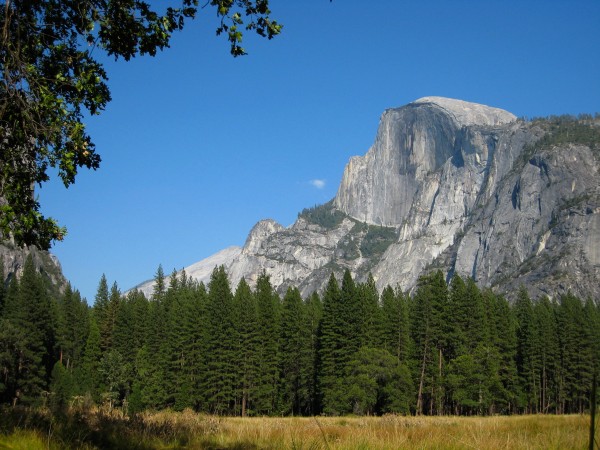 Half Dome from valley