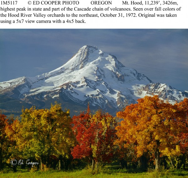 Mt.Hood, orchards, fall, OR, remake