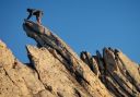 Matthes Crest - S-N Traverse (III, 5.7) and Full Traverse (IV, 5.8) (Photo TR) - Click for details