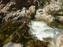 2012_06 Arroyo Seco River Adventure - Hiking/Scrambling/Swimming with Kids - Click for details