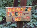 Land of Medicine Buddha & Enchanted Forest, hiking and running - Click for details