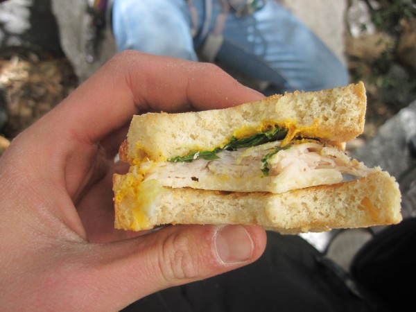 that might be the best turkey sandwich known to man