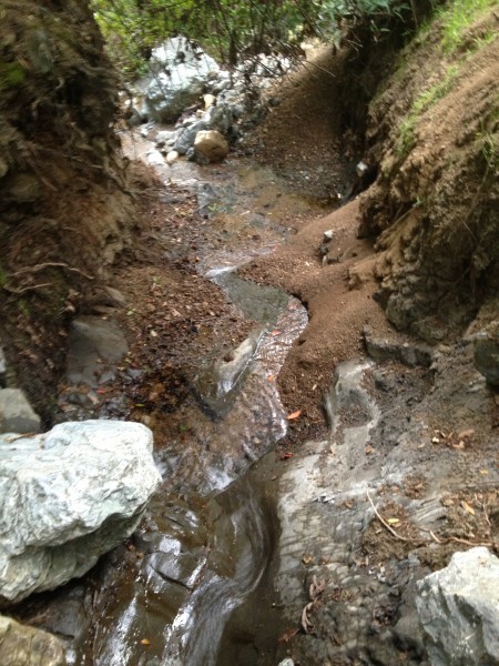 Scrambling down the creekbed on the way out.