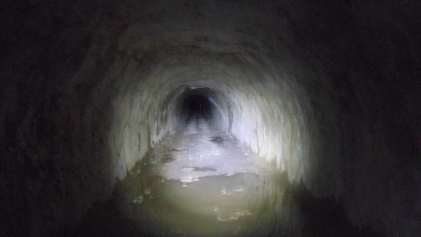 The tunnel is long, dark and damp - we listened carefully for the soun...
