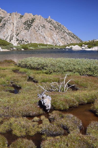 Unnamed Lake Over Mule Pass
