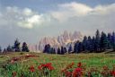 Skippy & the Toid go to the Dolomites - Click for details