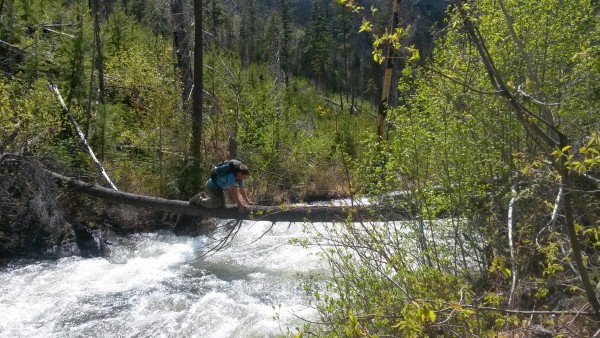 Mack on one of the cruxy stream crossings.