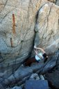 Granite Creek - The Flake 5.9 - Bay Area, California USA. Click for details.
