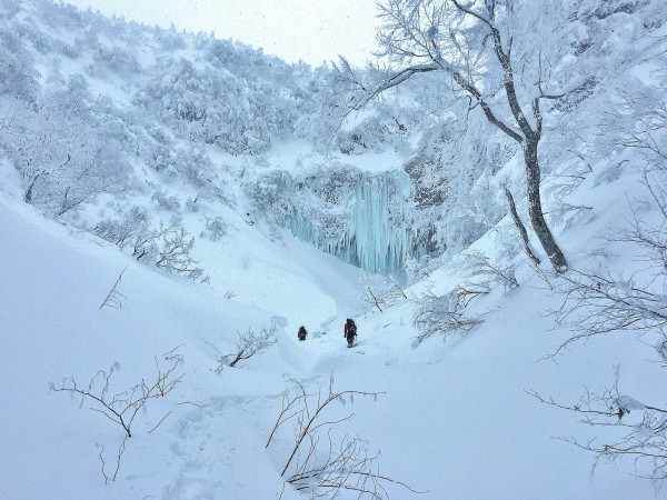 Zao Ice Gardens up in northern Japan.