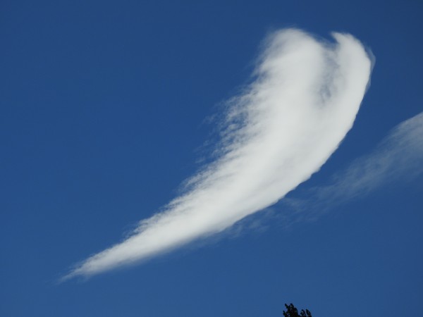 Strange heart shaped cloud at Tioga Pass on way home