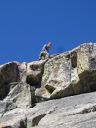 Moosedrool Climbs with an Old Llamero - Click for details