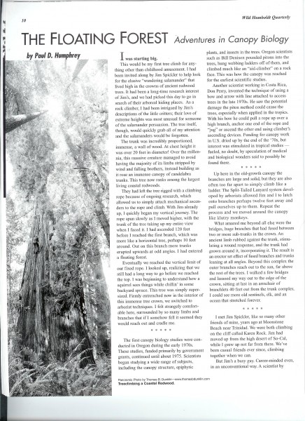 The Floating Forest, page 1, Wild Humboldt Magazine.