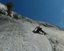 Tmds Sept 2011 and Yosemite wildlife TR - Click for details