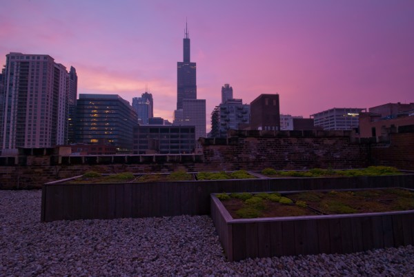 Morning twilight in Chicago.