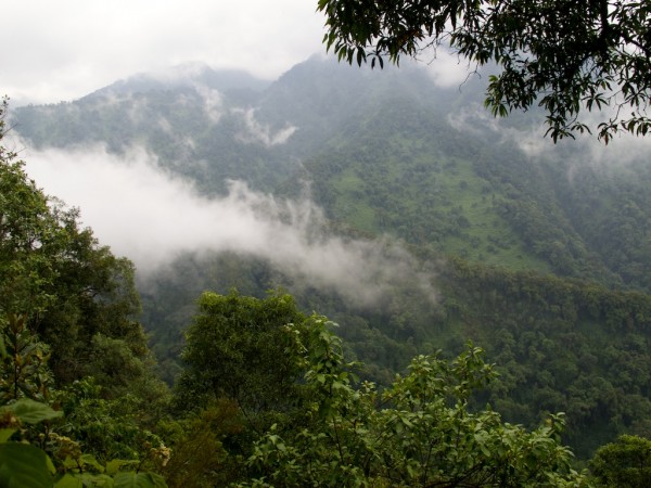 View of the Portal Peaks from Nyabitaba Hut